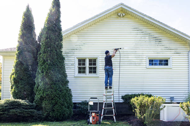 Best Pressure Washing Driveway  in Mukilteo, WA